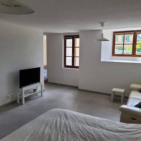 Apartmán With A View Of Geneva Veytaux